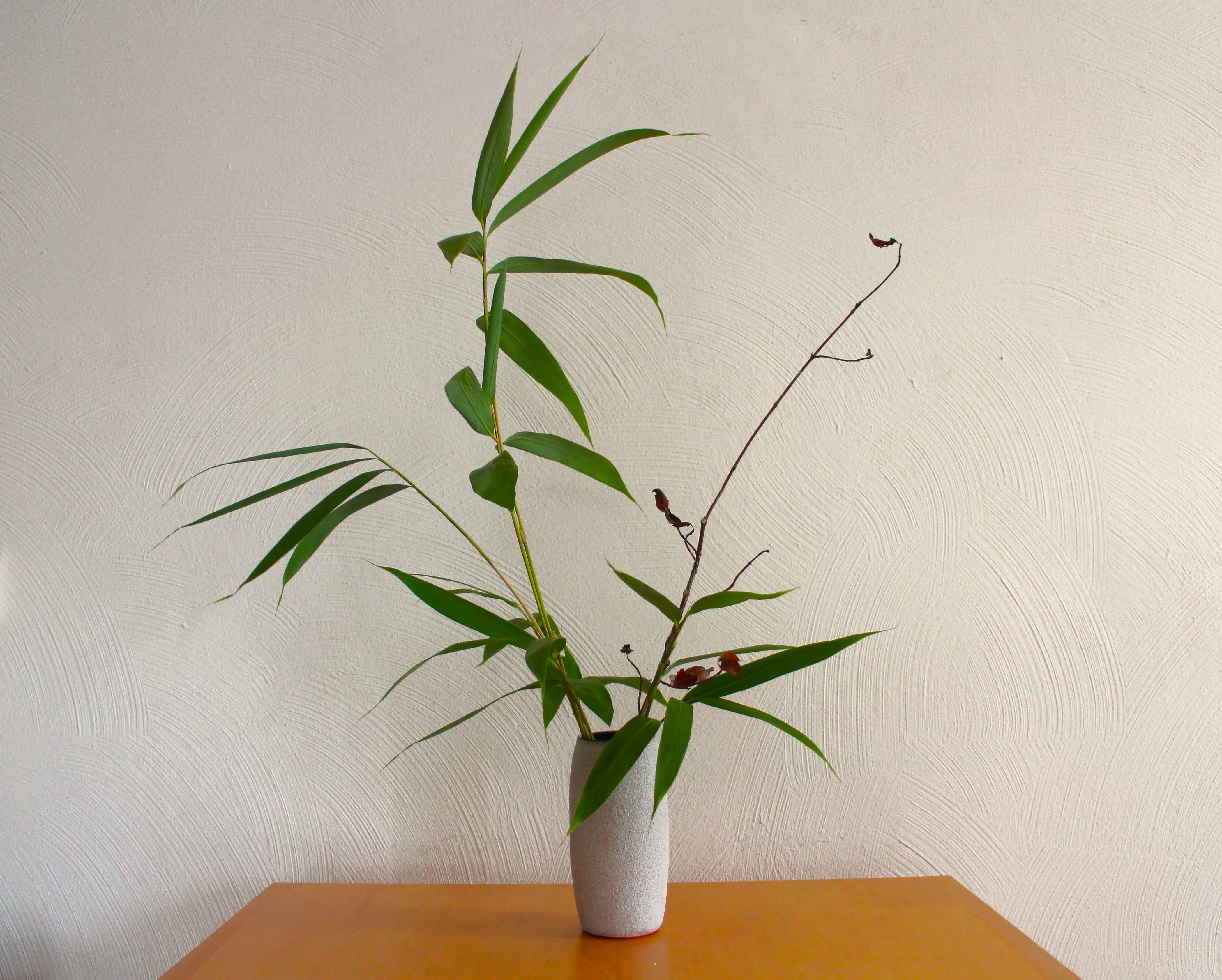 Composition of bamboo branches.